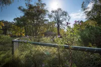 The Old Catskill Game Farm Inn