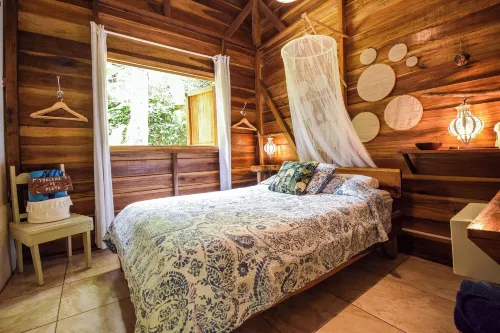 Mini Up House - Wifi