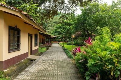 Garden Villa Lapas Jungle Village Photo