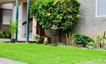 New Kingston Guest Apartment at Chelsea