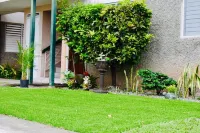 New Kingston Guest Apartment at Chelsea Hotel a 