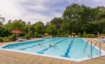 Wellness Forest Retreat