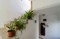 Apartments Palma Hotels in Govedari