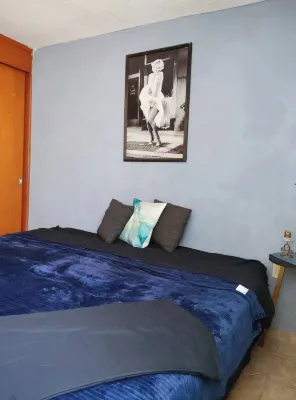 Mi mejor estancia Experience Authentic Mexican Charm Hotels near Plaza Picasso