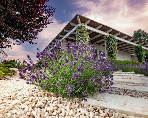 Casa Mia in Puglia Hotels in Conversano