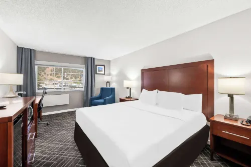 Comfort Inn Yreka I-5 - Wifi