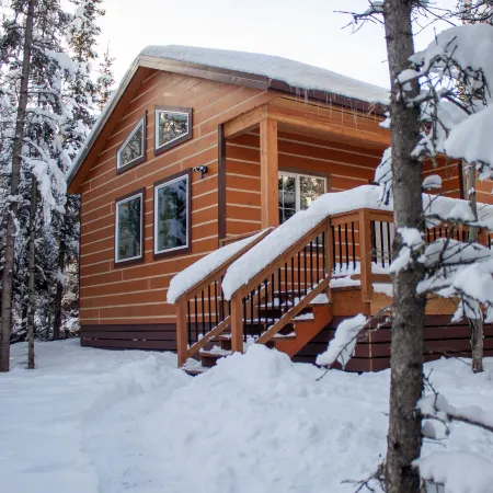 Denali Wild Stay