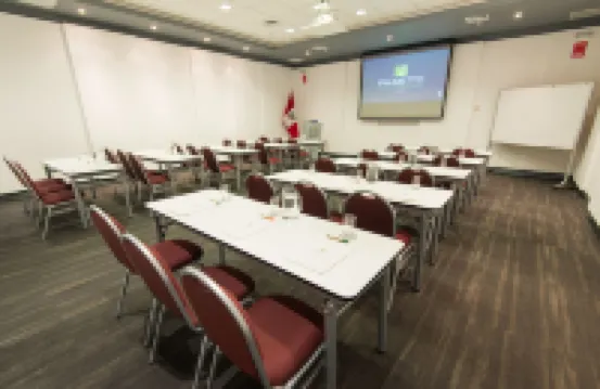 Palmetto Hotel Business San Miguel