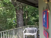 Tree House Condo! Great Location! Steps From Campus!
