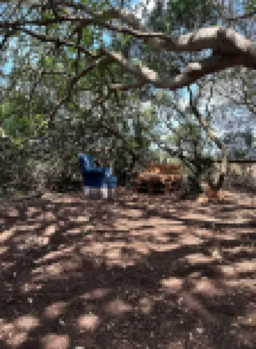 Michas caravan for 2 See the herd of horses from your bed