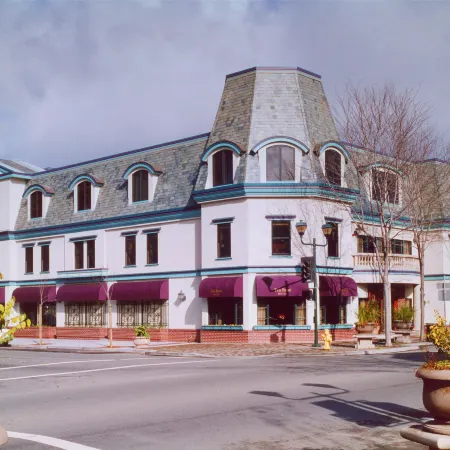 The Rose Hotel