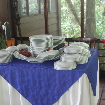 Foresta Lodge