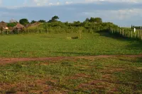 Grassroots Cottages & Tours - parking