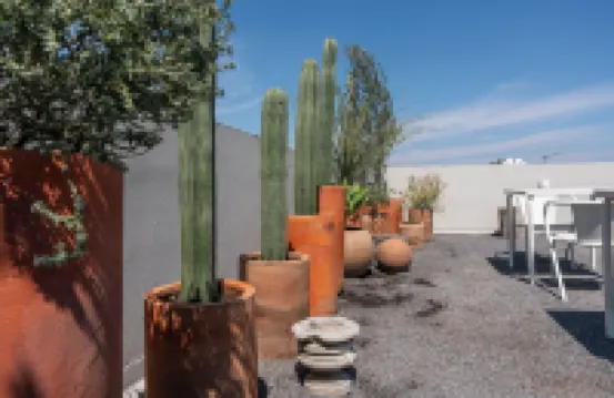 Casa Teresa by Barrio México