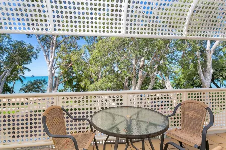 Hibiscus in Marlin Waters Palm Cove