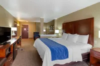 Comfort Inn & Suites Mandan - Bismarck