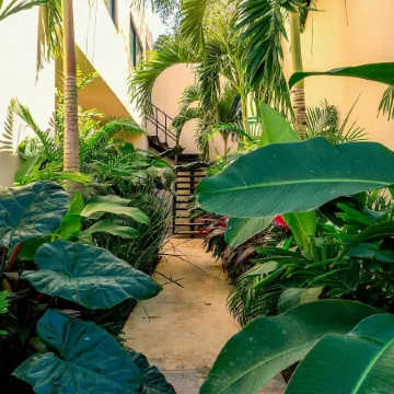 Mayanah Condohotel Bacalar