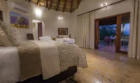 Mopane Bush Lodge - Lodges