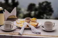 Simsa Heights Manali
