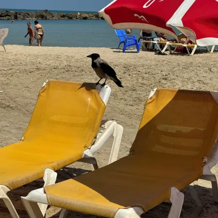 Prince Palace Netanya Central Beach