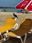 Prince Palace Netanya Central Beach - Ocean View