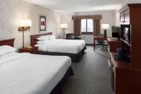 Grand Hotel - Wifi