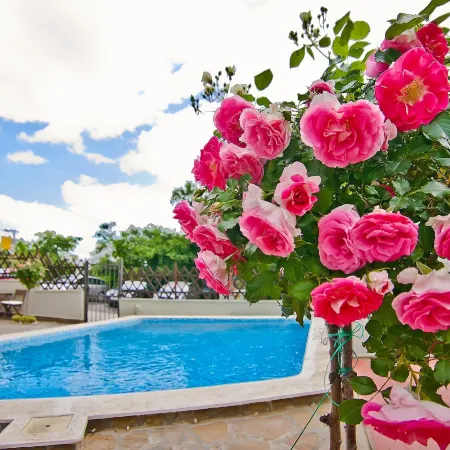 Hotel Amfora