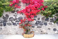 George & Joanna Suites Santorini