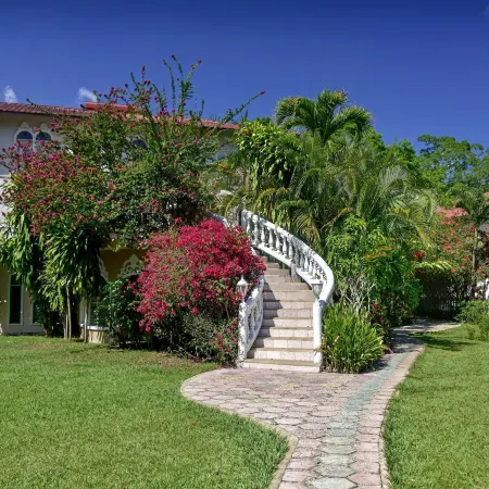 Banana Bank Lodge