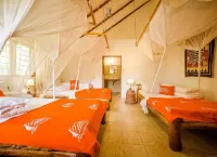 Meru View Lodge