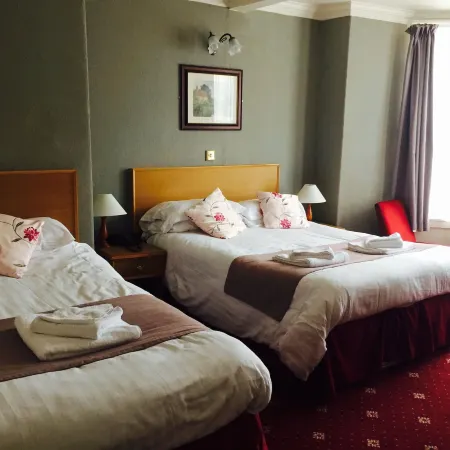 Plas Coch Hotel Ltd Hotel a Bala