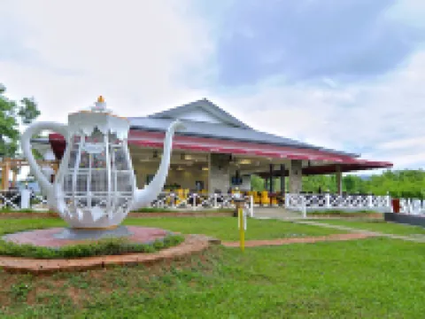 Sabah Tea Garden Hotels in Ranau