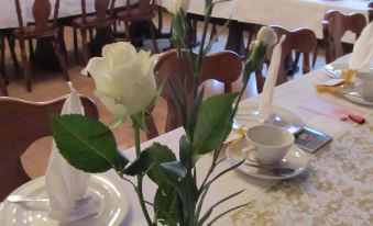 Pension Elli Krössner