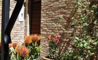 B&B Albornoz