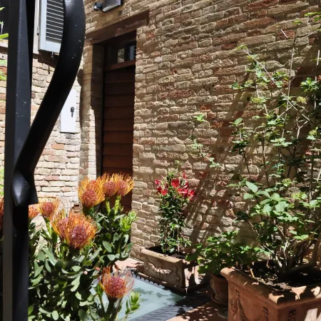 B&B Albornoz