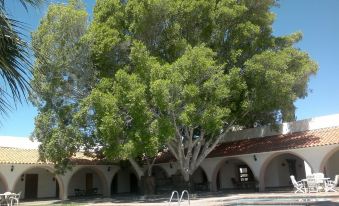 Hotel Mision Catavina