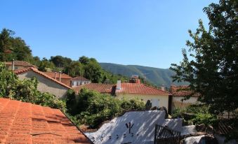 Guesthouse Xenios Zeus