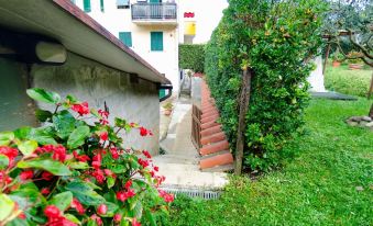Holiday Home in Lucca with Pool & Garden