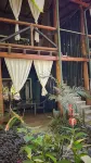 Canaima Chill House