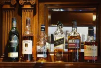Saplinbrae Hotel and Lodges - bar