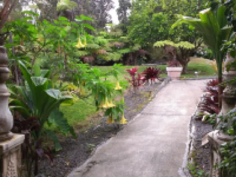 シャレー キラウエア ボルケーノのホテル