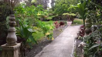 Chalet Kilauea Hotels in Volcano