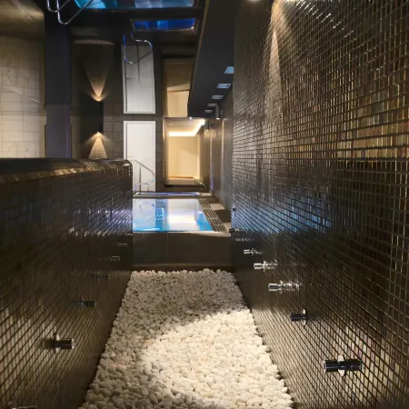 Hotel Spa Acevi Val D’Aran