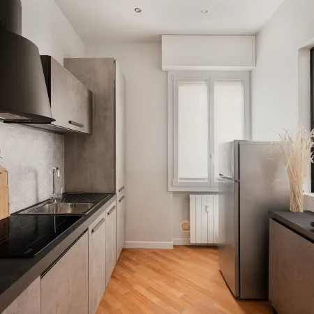 Deluxe Central Apartment