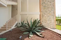 원더풀 이탈리아의 와르다 C11 아파트