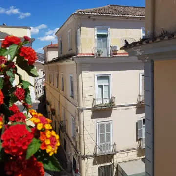 Al Centro Luxury Home