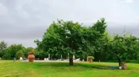 Agriturismo Il Sole Verde
