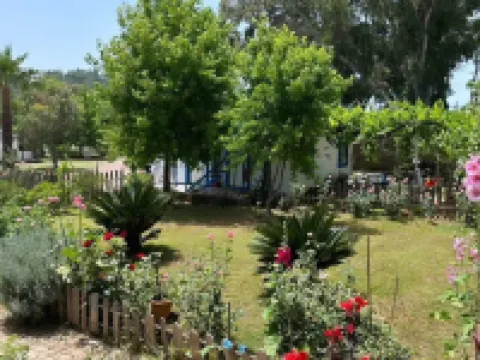 No:85 Konaklama Tesisi Hotels in Hisaronu