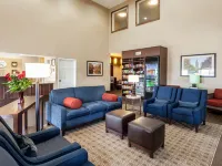 Comfort Suites Lincoln North Hotels near Abel Stadium