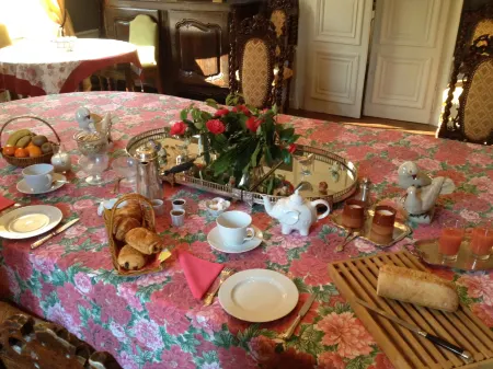 Château du Plessis - Anjou Отели в г. Сегре-ан-Анжу Блё